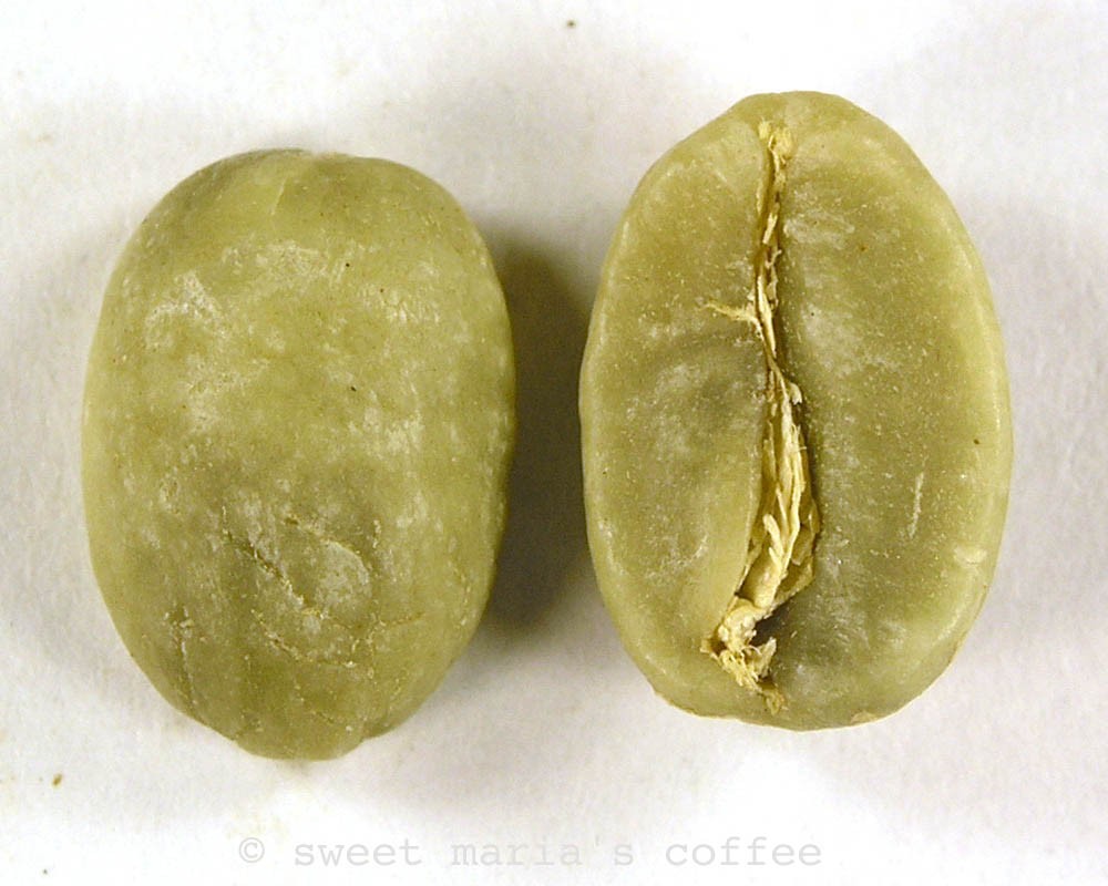 Coffea Arabica NANA или Кофе Арабика (семена)